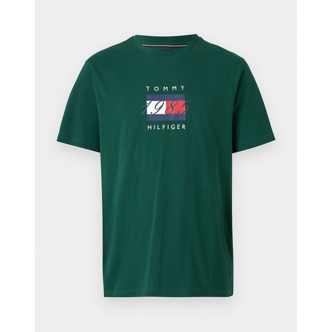 Product TOMMY HILFIGER LINEAR FLAG GRAPHIC TEE base image
