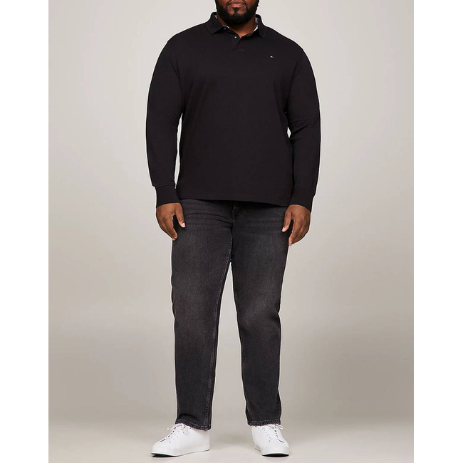Product TOMMY HILFIGER BT-1985 REGULAR LS POLO-B base image