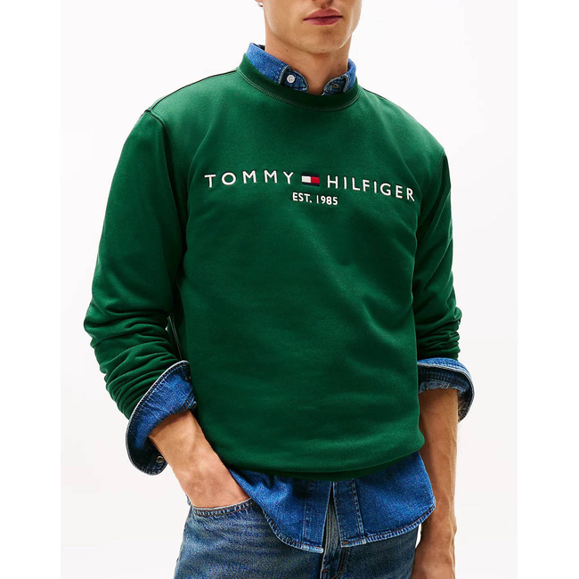 Product TOMMY HILFIGER TOMMY LOGO SWEATSHIRT base image