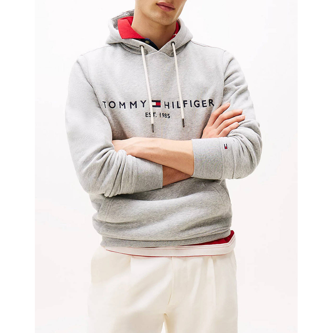 Product TOMMY HILFIGER TOMMY LOGO HOODY base image