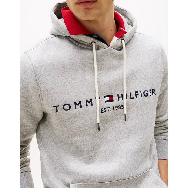 Product TOMMY HILFIGER TOMMY LOGO HOODY base image