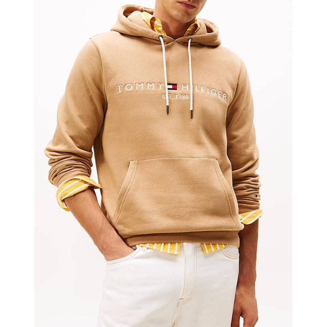 Product TOMMY HILFIGER TOMMY LOGO HOODY base image