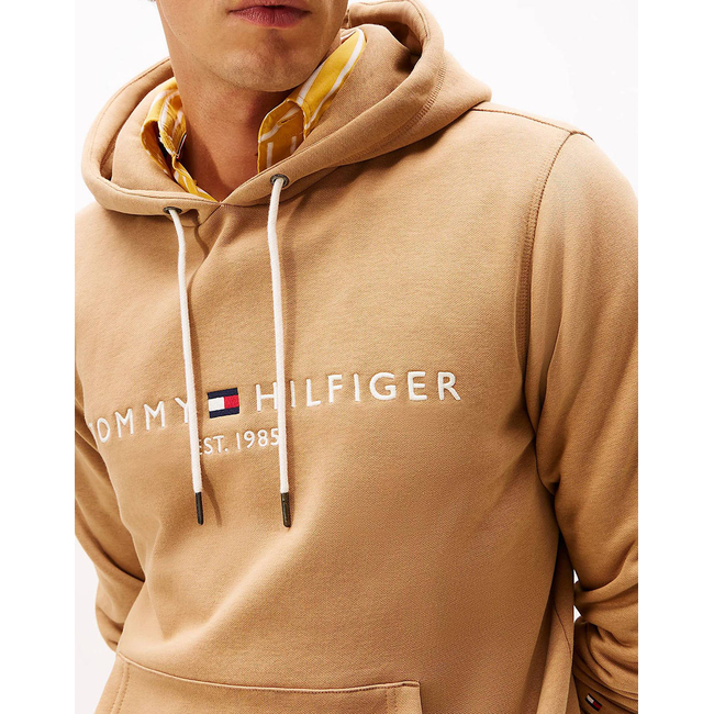 Product TOMMY HILFIGER TOMMY LOGO HOODY base image