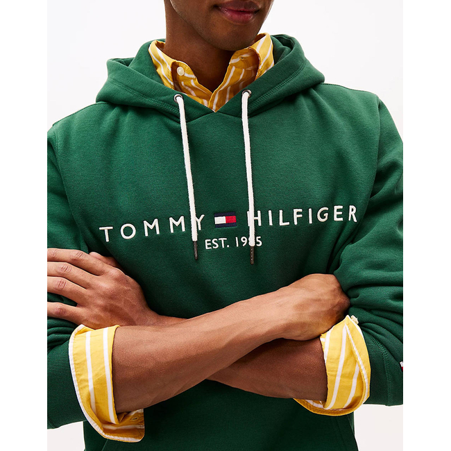Product TOMMY HILFIGER TOMMY LOGO HOODY base image