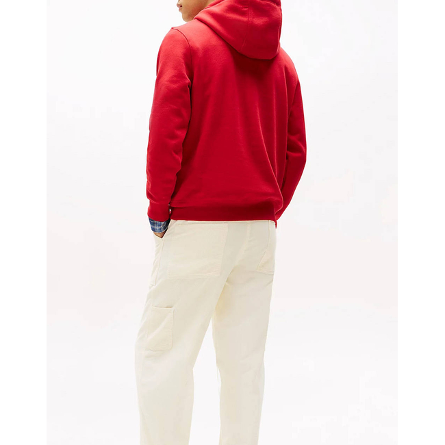 Product TOMMY HILFIGER TOMMY LOGO HOODY base image