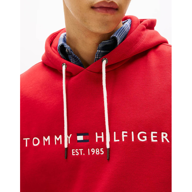 Product TOMMY HILFIGER TOMMY LOGO HOODY base image