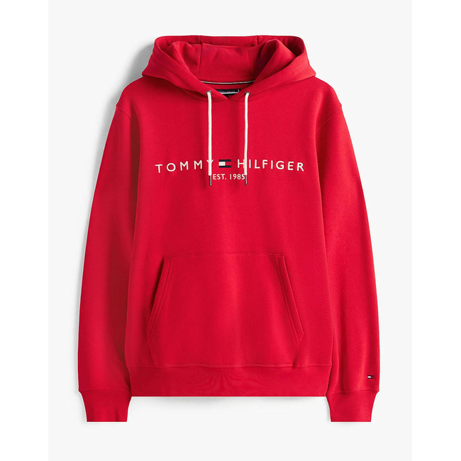 Product TOMMY HILFIGER TOMMY LOGO HOODY base image