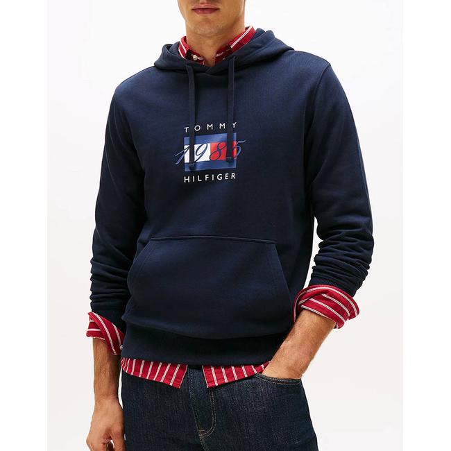 Product TOMMY HILFIGER LINEAR FLAG GRAPHIC HOODIE base image