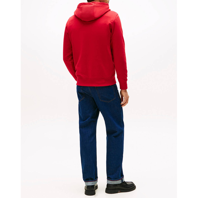 Product TOMMY HILFIGER LINEAR FLAG GRAPHIC HOODIE base image