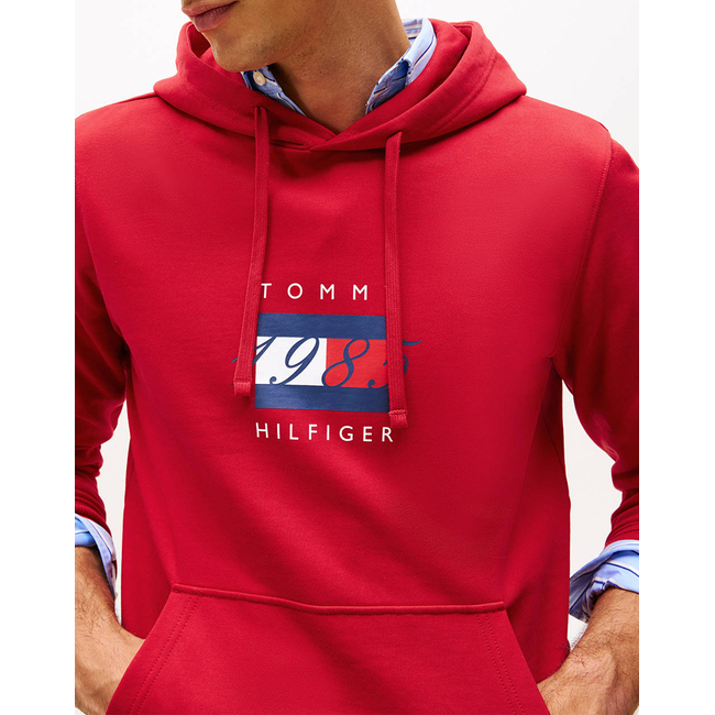 Product TOMMY HILFIGER LINEAR FLAG GRAPHIC HOODIE base image