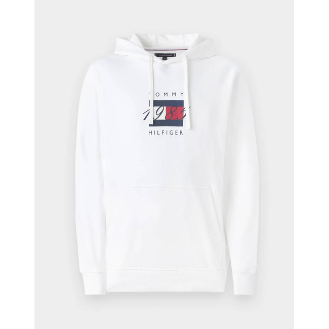 Product TOMMY HILFIGER LINEAR FLAG GRAPHIC HOODIE base image