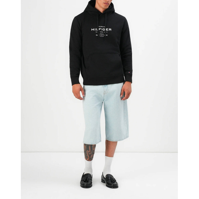 Product TOMMY HILFIGER OVAL GRAPHIC HOODIE base image