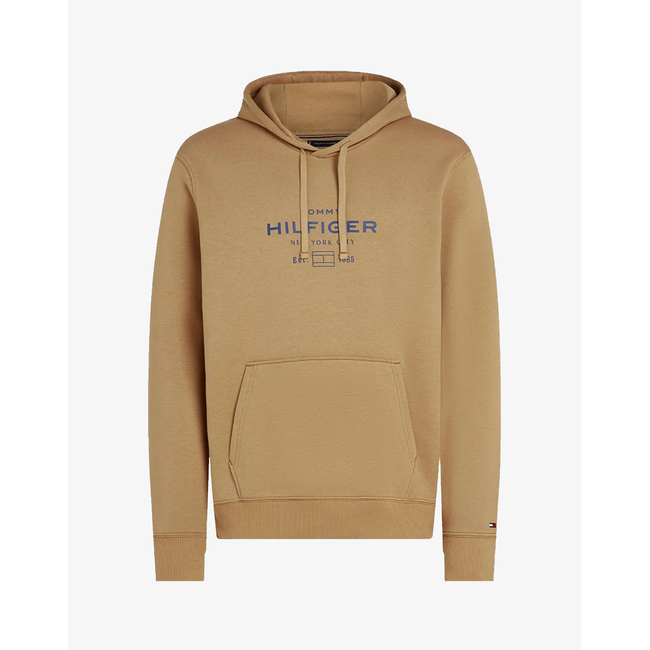 Product TOMMY HILFIGER OVAL GRAPHIC HOODIE base image