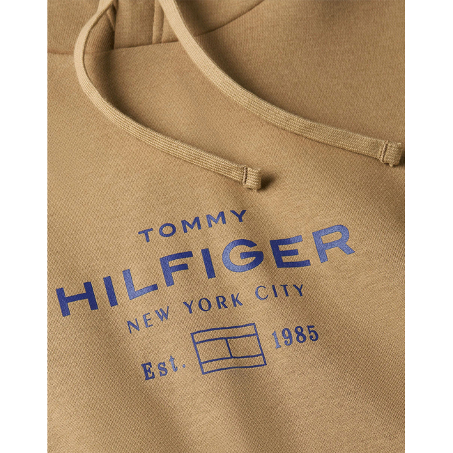 Product TOMMY HILFIGER OVAL GRAPHIC HOODIE base image