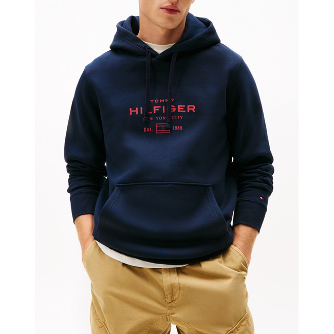 Product TOMMY HILFIGER OVAL GRAPHIC HOODIE base image