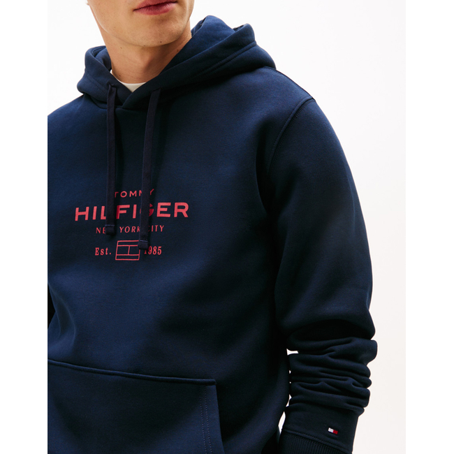 Product TOMMY HILFIGER OVAL GRAPHIC HOODIE base image