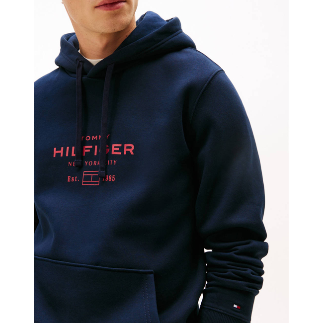 Product TOMMY HILFIGER OVAL GRAPHIC HOODIE base image
