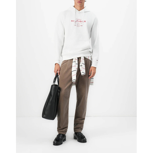 Product TOMMY HILFIGER OVAL GRAPHIC HOODIE base image