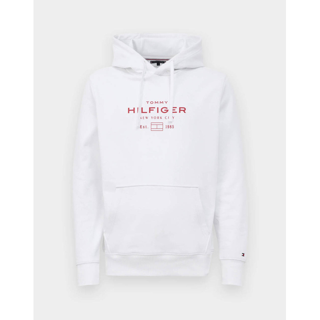 Product TOMMY HILFIGER OVAL GRAPHIC HOODIE base image