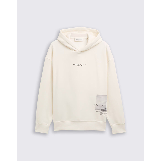 Product TOM TAILOR RELAXED PRINTED HOODIE MEN base image