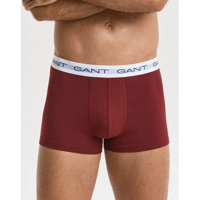 Product GANT ΣΕΤ 3 ΕΣΩΡΟΥΧΩΝ TRUNK TRUNK 3-PACK base image