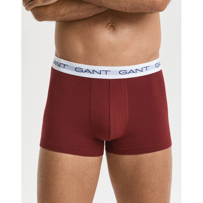 Product GANT ΣΕΤ 3 ΕΣΩΡΟΥΧΩΝ TRUNK TRUNK 3-PACK base image