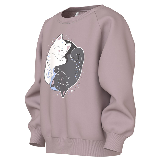 Product NAME IT NMFVENUS LS NREG SWEAT BRU base image