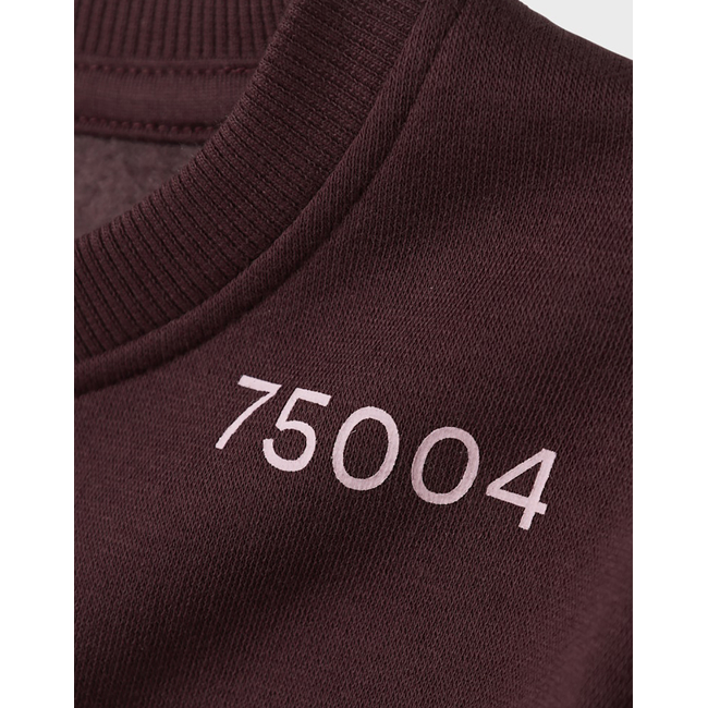 Product NAME IT NKFODIKA LS RLX SWEAT BRU BF base image