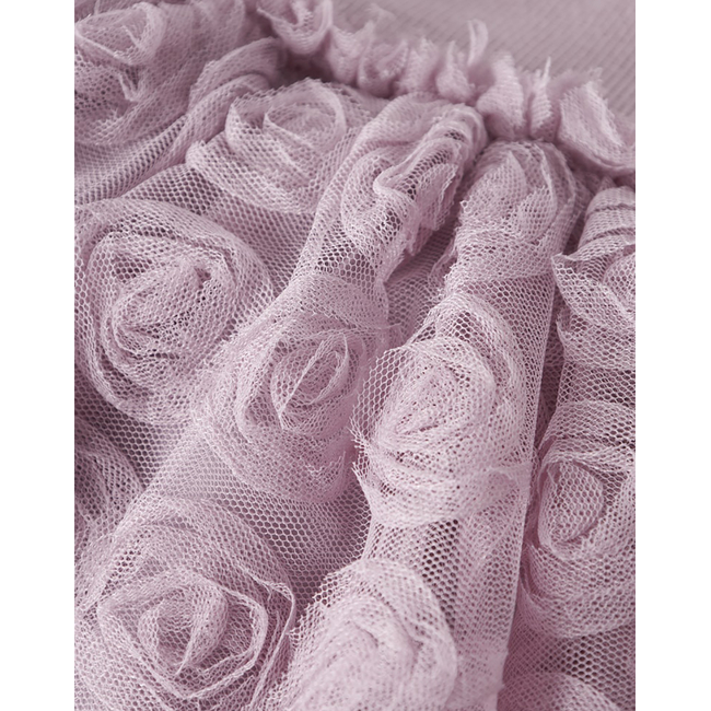 Product NAME IT NMFSYKIA TULLE LS DRESS base image