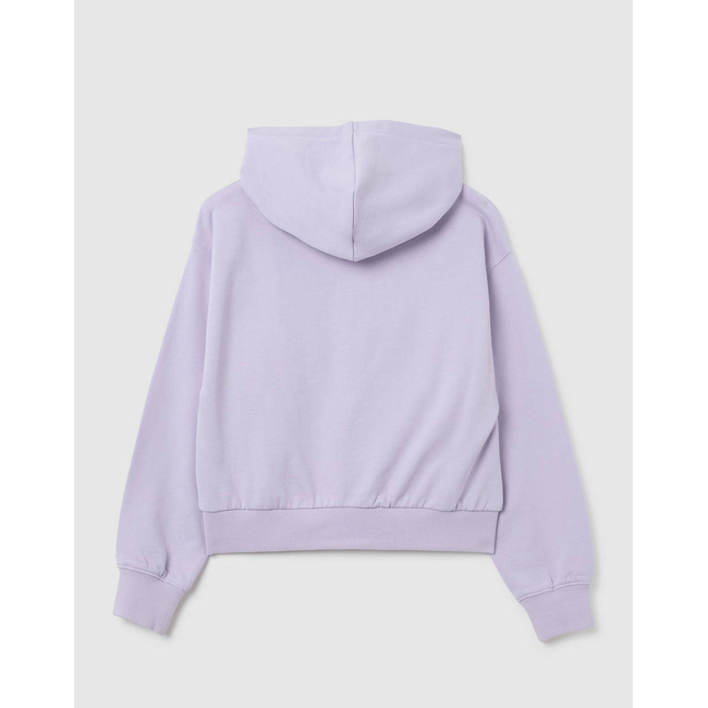 Product OVS SWT FULL ZIP HOODIE ESS. base image