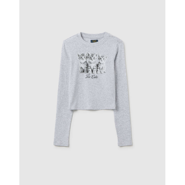 Product OVS T-SHIRT L/S PRINT 4/5 COL base image