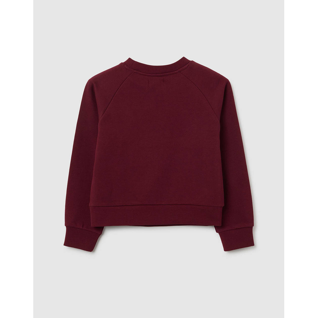 Product OVS ROUNDNECK SWEATSHIRT base image