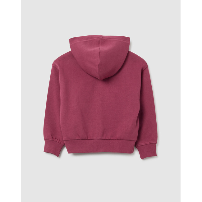 Product OVS HOODY FULL ZIP base image