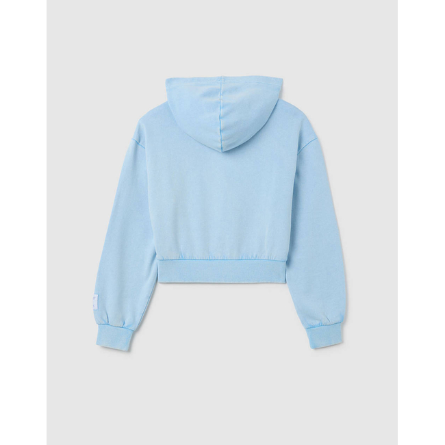 Product OVS HOODIE CROP ACID WASH base image