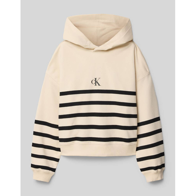 Product CALVIN KLEIN JEANS CK LOGO BOXY FIT STRIPES HOODIE base image