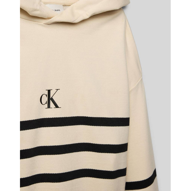 Product CALVIN KLEIN JEANS CK LOGO BOXY FIT STRIPES HOODIE base image