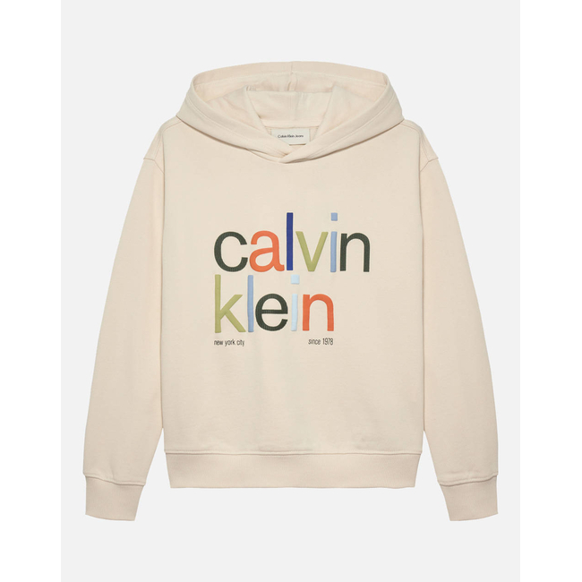 Product CALVIN KLEIN COLOR LOGO GRAPHIC TERRY HOODIE base image