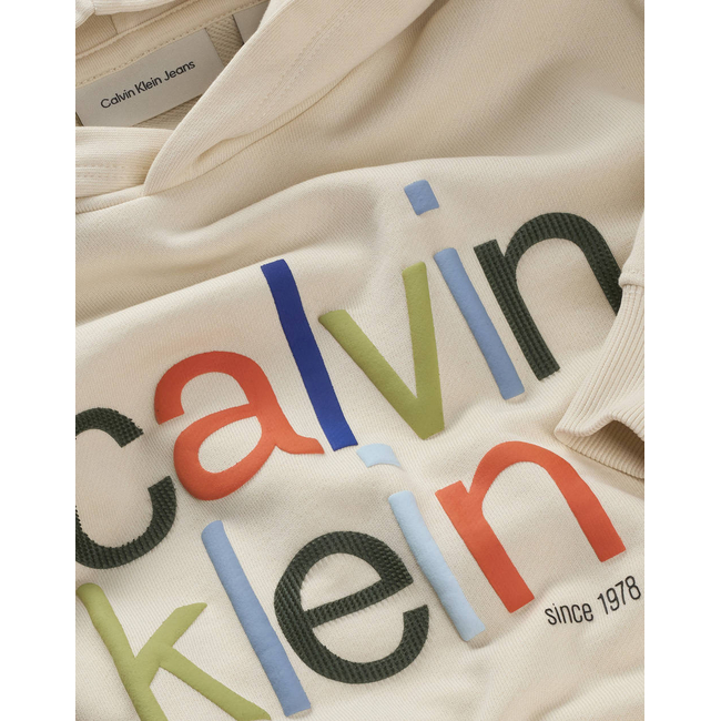Product CALVIN KLEIN COLOR LOGO GRAPHIC TERRY HOODIE base image