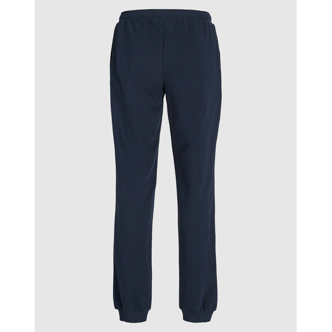 Product JACK&JONES JPSTELOGO SWEATPANTS 2COL 25/26 NOOS JNR base image
