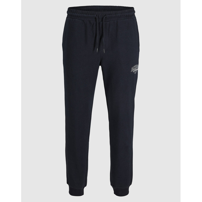 Product JACK&JONES JPSTGORDON MAKOTO SWEAT PANTS JNR base image