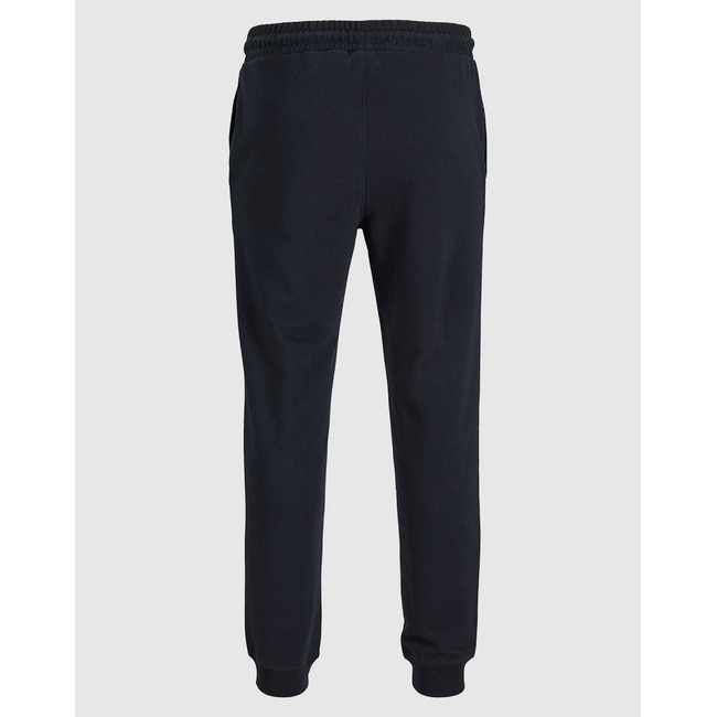 Product JACK&JONES JPSTGORDON MAKOTO SWEAT PANTS JNR base image