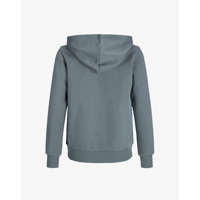 Product JACK&JONES JJPAN SWEAT HOOD JNR base image