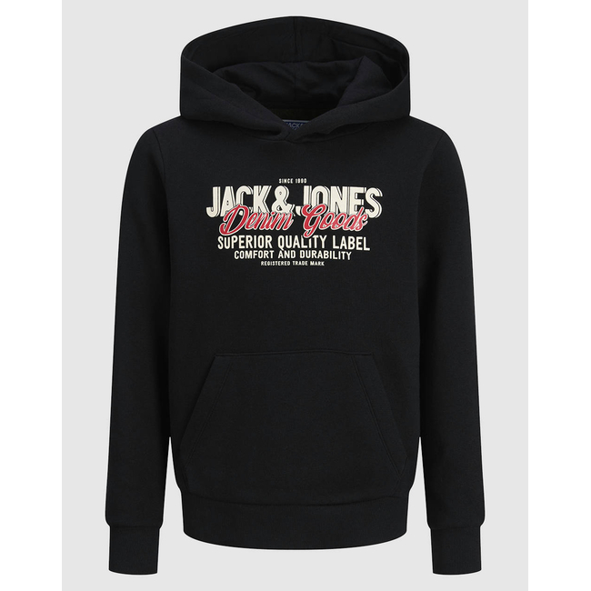 Product JACK&JONES JJELOGO SWEAT HOOD 2 COL 25/26 NOOS JNR base image
