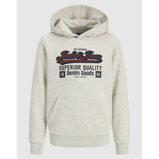 Product JACK&JONES JJELOGO SWEAT HOOD 2 COL 25/26 NOOS JNR base image