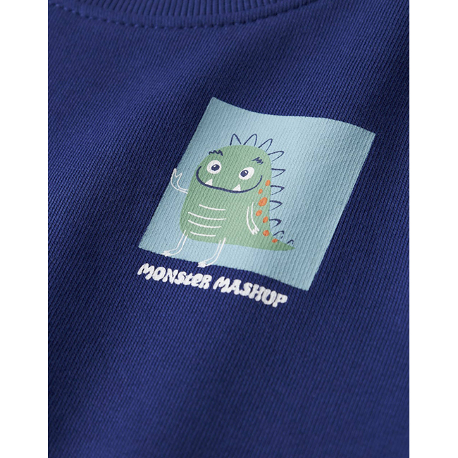 Product NAME IT NMMVASHA LS NREG SWEAT UNB base image