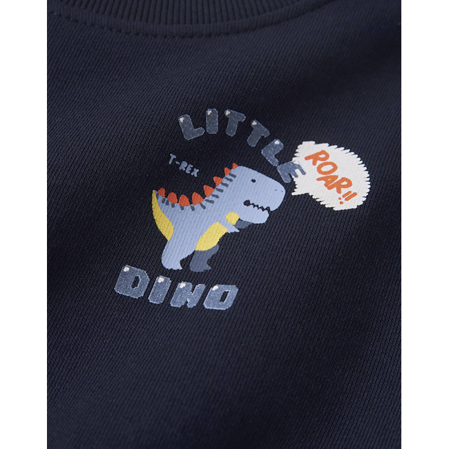 Product NAME IT NMMVASHA LS NREG SWEAT UNB base image