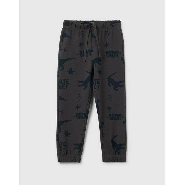 Product OVS TROUSERS WITH AOP base image