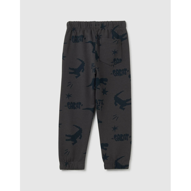 Product OVS TROUSERS WITH AOP base image
