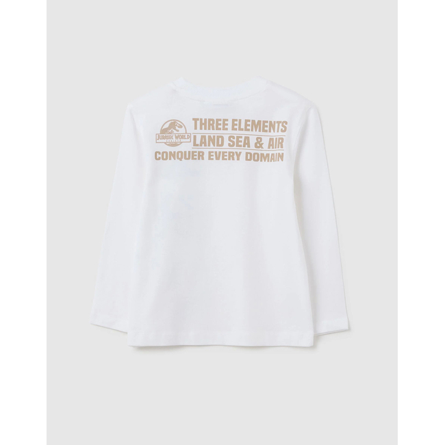 Product OVS T-SHIRT WHITE base image
