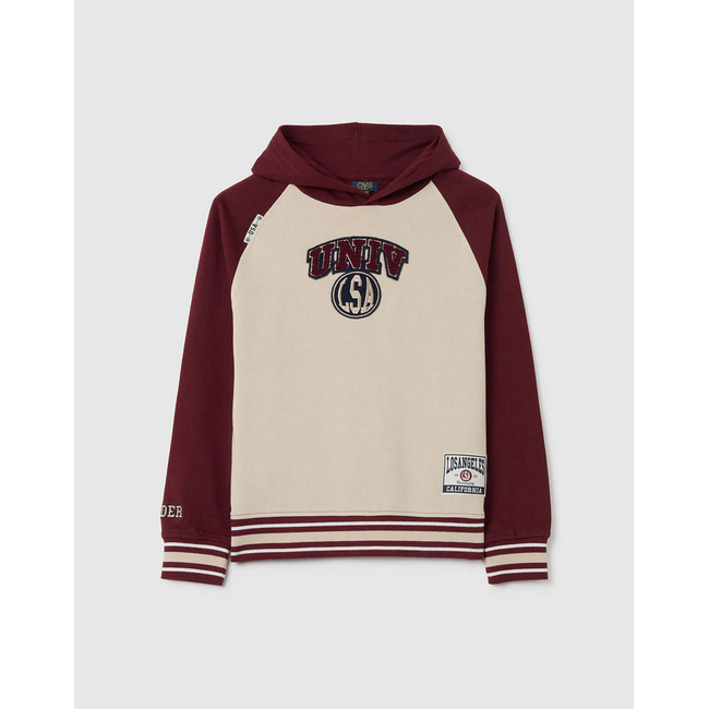 Product OVS HOODIE CONTARST COLOR base image